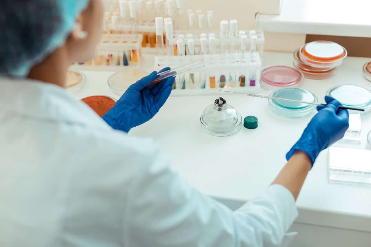 Groß (shutterstock_1433679734)